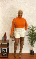 Ribbed Turtle Neck Sweater