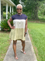 Bianca Color Block Dress
